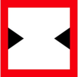Znak Żeglugowy C. 3  Ograniczona szerokość szlaku lub kanału żeglownego -- 900x900 mm, II Generacja