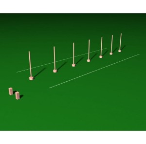 Slalom z ograniczeniem