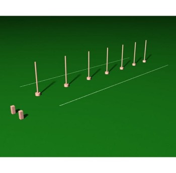 Slalom z ograniczeniem